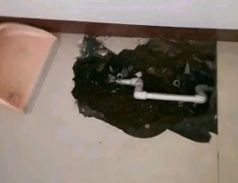 汉寿卫生间测漏水多少钱